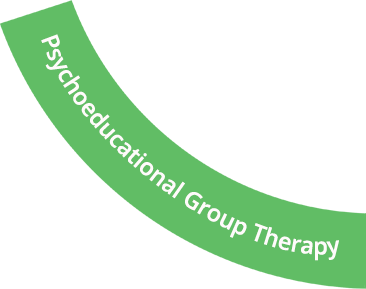  Psychoeducational group therapy
