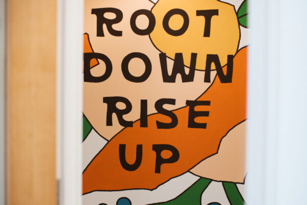roots-097