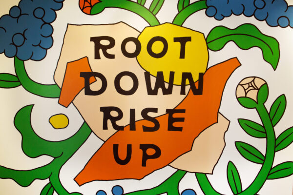 roots-0202